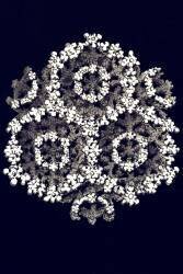 Porites furcata (Ernst Haeckel) - Muzeo.com