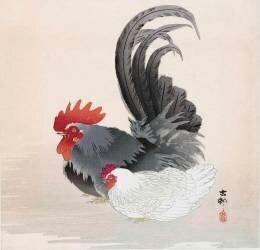 Poulet et coq (Ohara Koson) - Muzeo.com