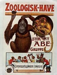 Zoologisk Have (anonyme) - Muzeo.com