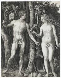 Adam et Eve (Albrecht Dürer) - Muzeo.com