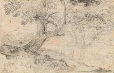 Arbres (Nicolas Poussin) - Muzeo.com