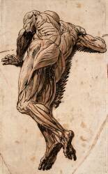 Etude d'écorché vu de dos (Théodore Géricault) - Muzeo.com