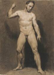 Etude d'homme nu de face (Louis Joseph César Ducornet) - Muzeo.com