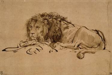 Lion au repos (Rembrandt) - Muzeo.com