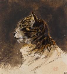 Tête de chat (Eugène Delacroix) - Muzeo.com