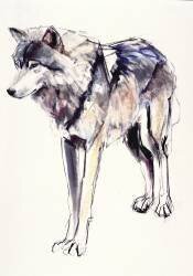 Alpha (Mark Adlington) - Muzeo.com