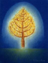 Arbre rougeoyant (Peter Davidson) - Muzeo.com