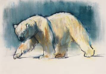 Arctic Light (Mark Adlington) - Muzeo.com