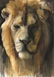 Asiatic Lion (Mark Adlington) - Muzeo.com