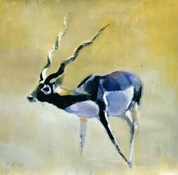 Black Buck (Mark Adlington) - Muzeo.com