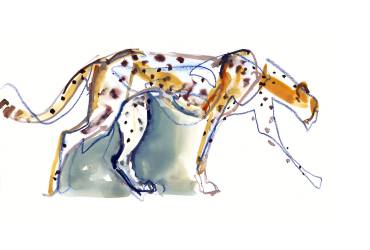 Cheetah (Mark Adlington) - Muzeo.com