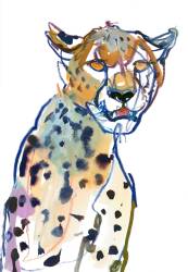 Chyulu Cheetah (Mark Adlington) - Muzeo.com