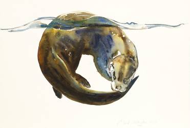 Circle of life (Mark Adlington) - Muzeo.com