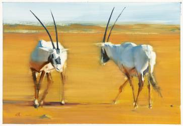 Circling Arabian Oryx (Mark Adlington) - Muzeo.com