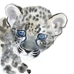 Cub (Mark Adlington) - Muzeo.com