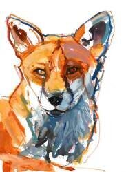 Dog fox (Mark Adlington) - Muzeo.com