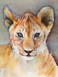 Fierce cub (Mark Adlington) - Muzeo.com