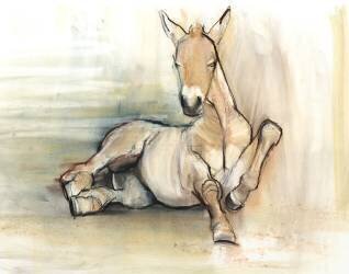 Foal (Mark Adlington) - Muzeo.com