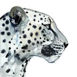 Focus (Mark Adlington) - Muzeo.com