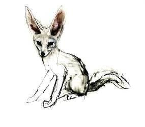 Foxy (Mark Adlington) - Muzeo.com