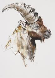 Giovanotto (Mark Adlington) - Muzeo.com