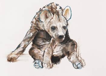 Hyaena Pup (Mark Adlington) - Muzeo.com