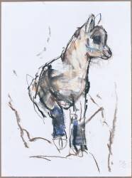 Ibex Kid (Mark Adlington) - Muzeo.com