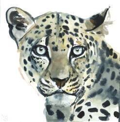 Leopard (Mark Adlington) - Muzeo.com