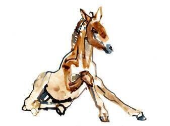 Ochre Foal (Mark Adlington) - Muzeo.com