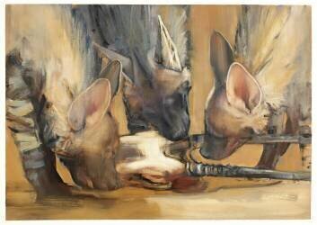 Pack Attack (Mark Adlington) - Muzeo.com