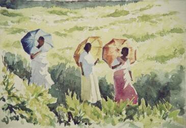 Parasols, Ramboda (Wilson Clive) - Muzeo.com