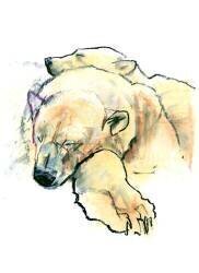 Pillow (Mark Adlington) - Muzeo.com