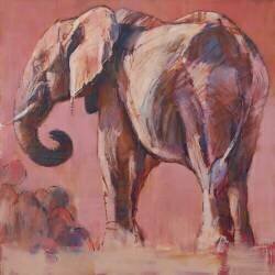 Pink (Mark Adlington) - Muzeo.com