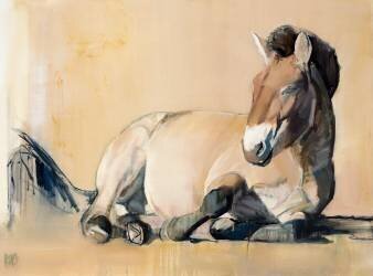 Plateau Sun (Mark Adlington) - Muzeo.com