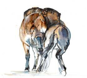 Power Dance (Mark Adlington) - Muzeo.com