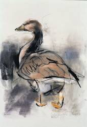 Spitalfields Goose (Mark Adlington) - Muzeo.com
