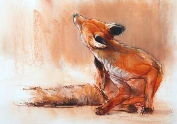 Spring Vixen (Mark Adlington) - Muzeo.com