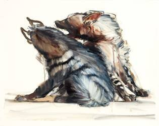 Squabbling Stripes (Mark Adlington) - Muzeo.com