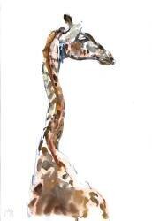 Tall (Mark Adlington) - Muzeo.com