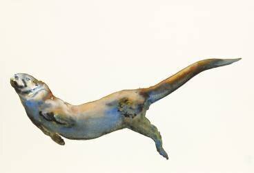 Velvet (Mark Adlington) - Muzeo.com