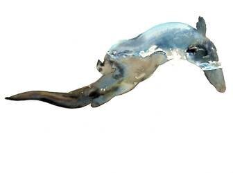 Waterline (Mark Adlington) - Muzeo.com