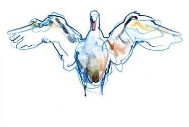 Wings outstretched (Mark Adlington) - Muzeo.com