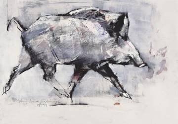 Young boar (Mark Adlington) - Muzeo.com