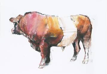 Zeus (Mark Adlington) - Muzeo.com