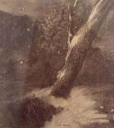 Arbre et étoiles (Odilon Redon) - Muzeo.com