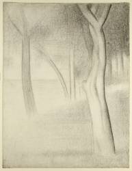 Arbres (Georges Seurat) - Muzeo.com