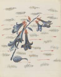 Campanules (Louis Hestaux) - Muzeo.com