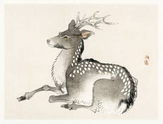 Cerf (Kono Barei) - Muzeo.com