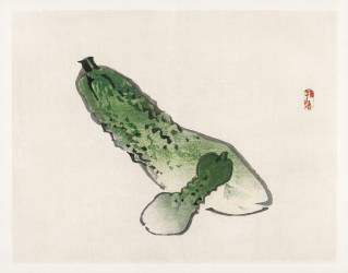 Courges (Kono Barei) - Muzeo.com
