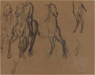 Étude de chevaux (Edgar Degas) - Muzeo.com